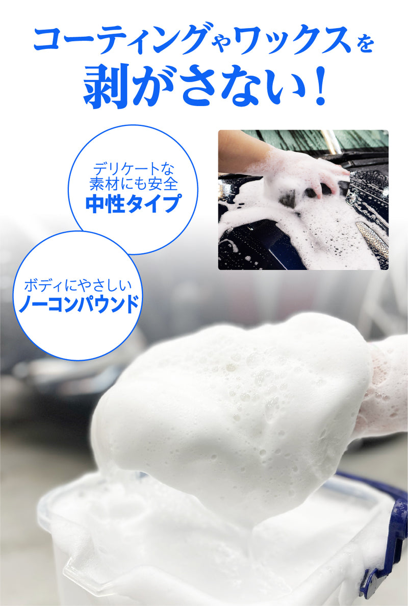 カーシャンプー1000