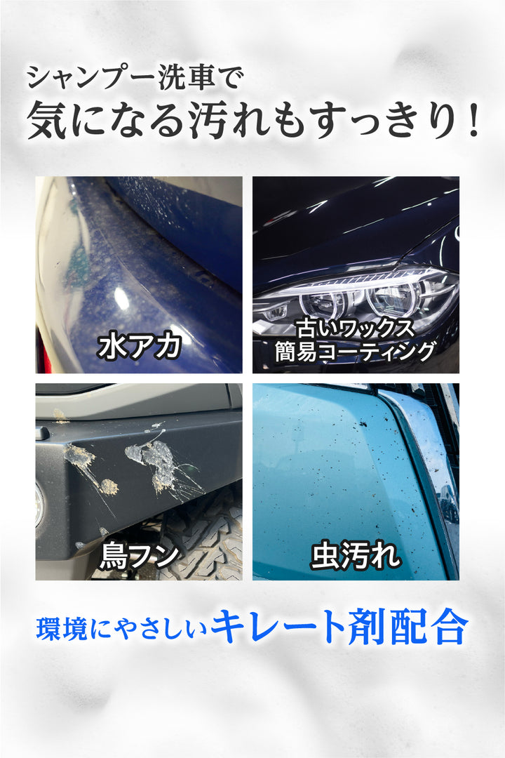 シャンプーアップ，ヘアーパックW エコロセーフクリーナー シャンプーアップ，ヘアーパックW エコロセーフクリーナー